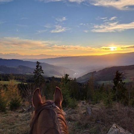 Erlebnisbauernhof Gutschi Ranch Kamp エクステリア 写真