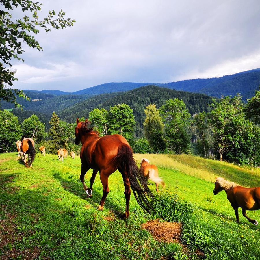 Erlebnisbauernhof Gutschi Ranch Kamp エクステリア 写真
