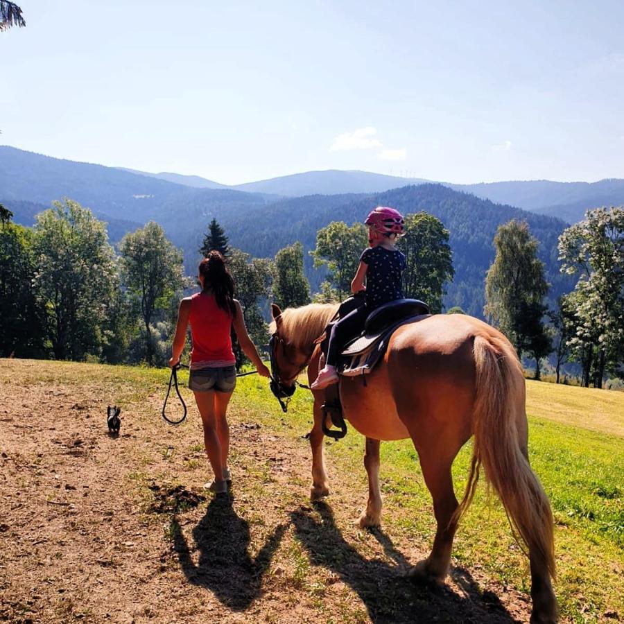 Erlebnisbauernhof Gutschi Ranch Kamp エクステリア 写真