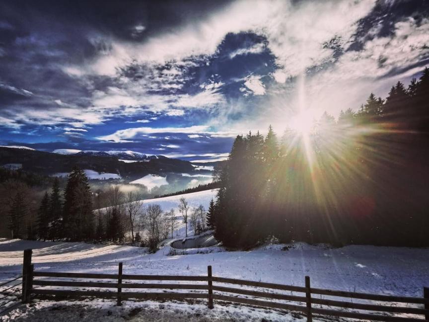Erlebnisbauernhof Gutschi Ranch Kamp エクステリア 写真