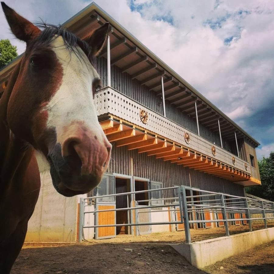 Erlebnisbauernhof Gutschi Ranch Kamp エクステリア 写真