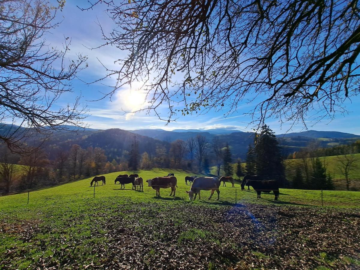 Erlebnisbauernhof Gutschi Ranch Kamp エクステリア 写真