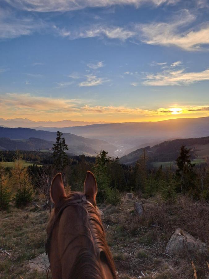 Erlebnisbauernhof Gutschi Ranch Kamp エクステリア 写真