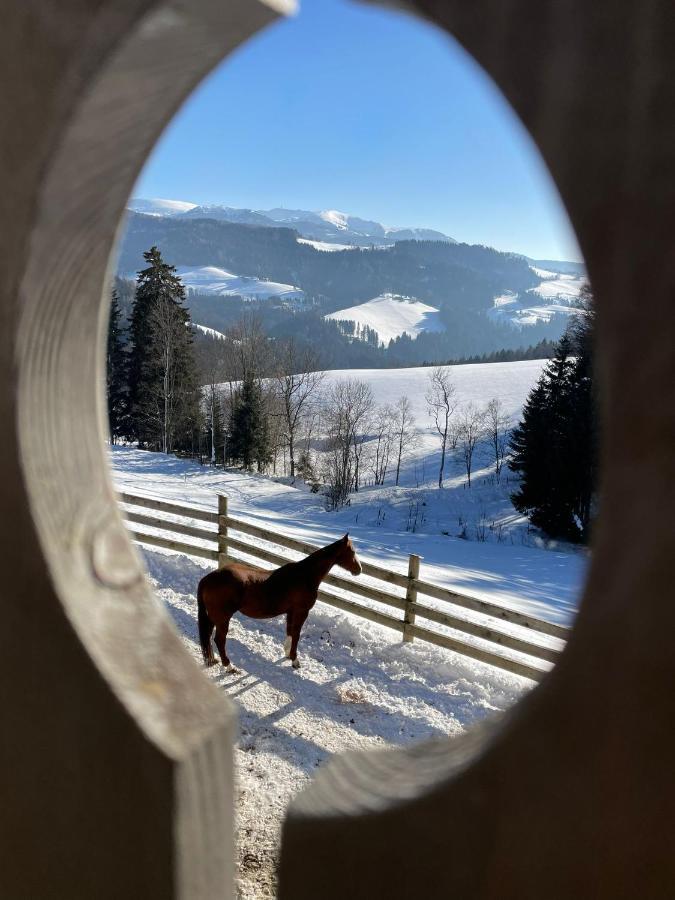 Erlebnisbauernhof Gutschi Ranch Kamp エクステリア 写真