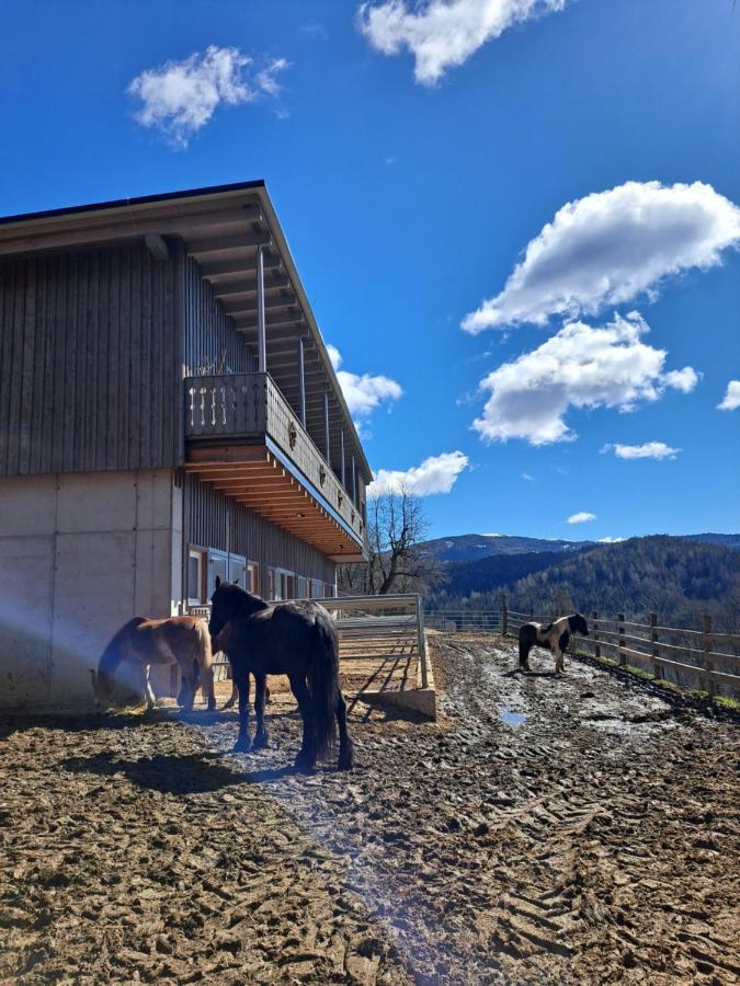 Erlebnisbauernhof Gutschi Ranch Kamp エクステリア 写真