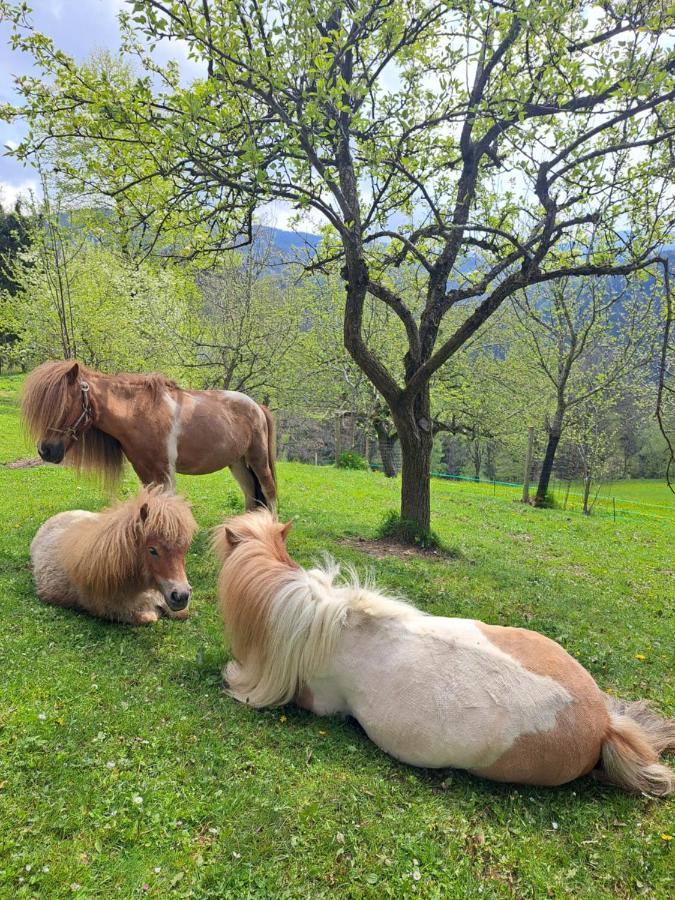 Erlebnisbauernhof Gutschi Ranch Kamp エクステリア 写真