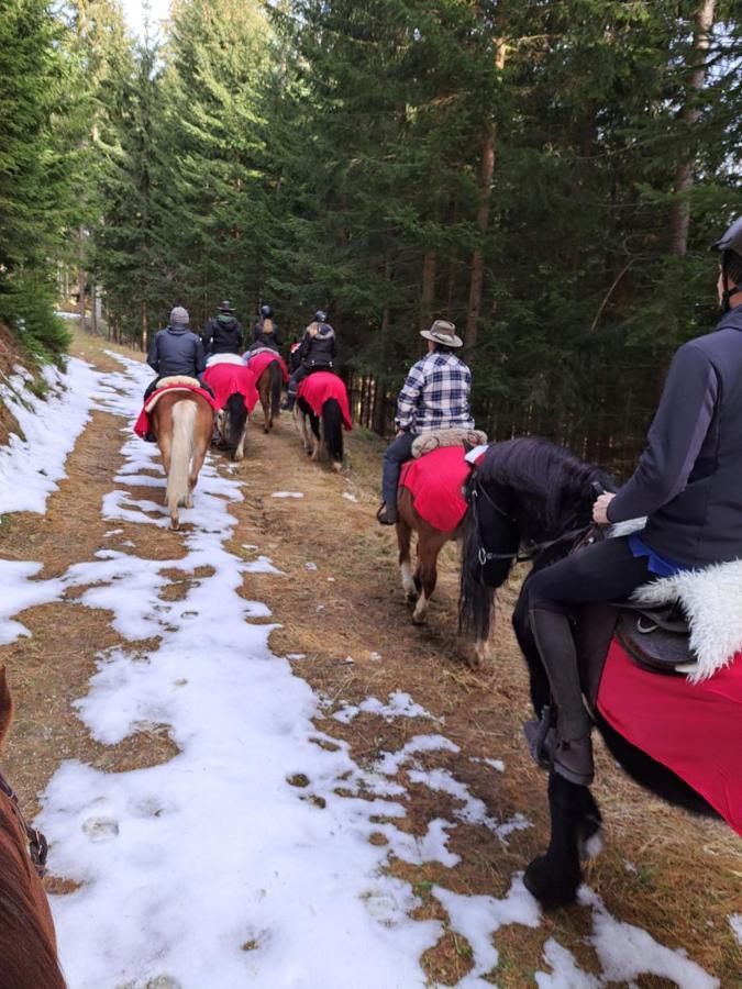 Erlebnisbauernhof Gutschi Ranch Kamp エクステリア 写真