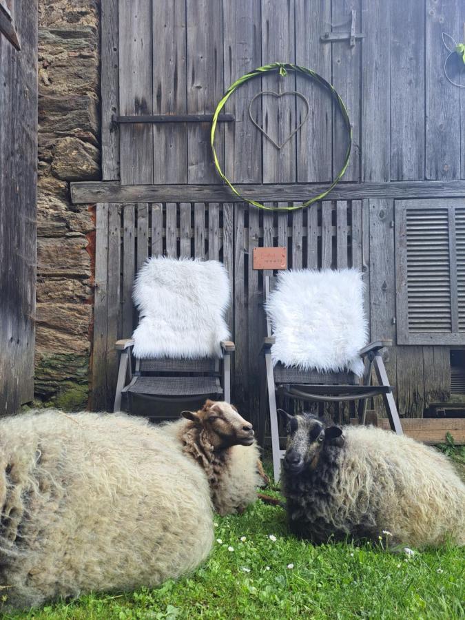 Erlebnisbauernhof Gutschi Ranch Kamp エクステリア 写真
