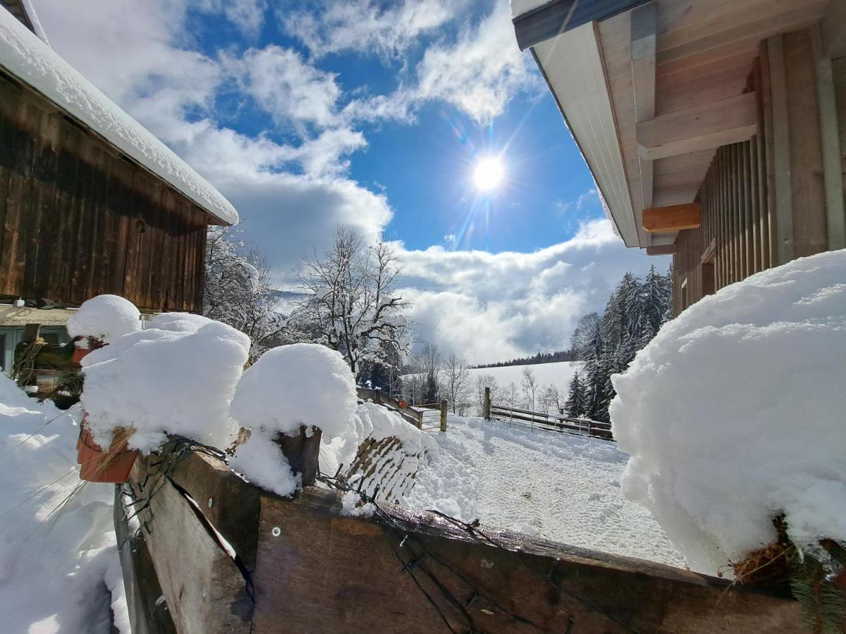 Erlebnisbauernhof Gutschi Ranch Kamp エクステリア 写真