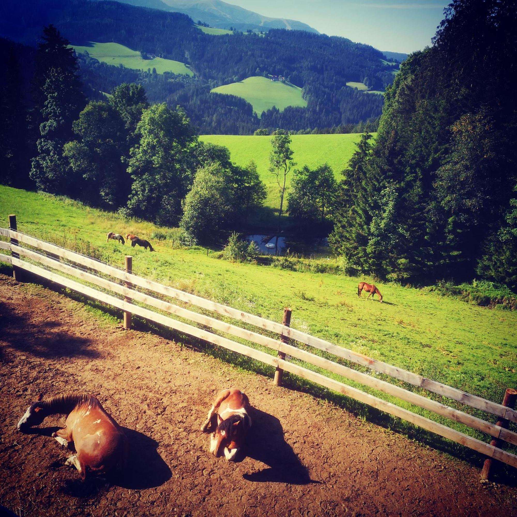 Erlebnisbauernhof Gutschi Ranch Kamp 部屋 写真